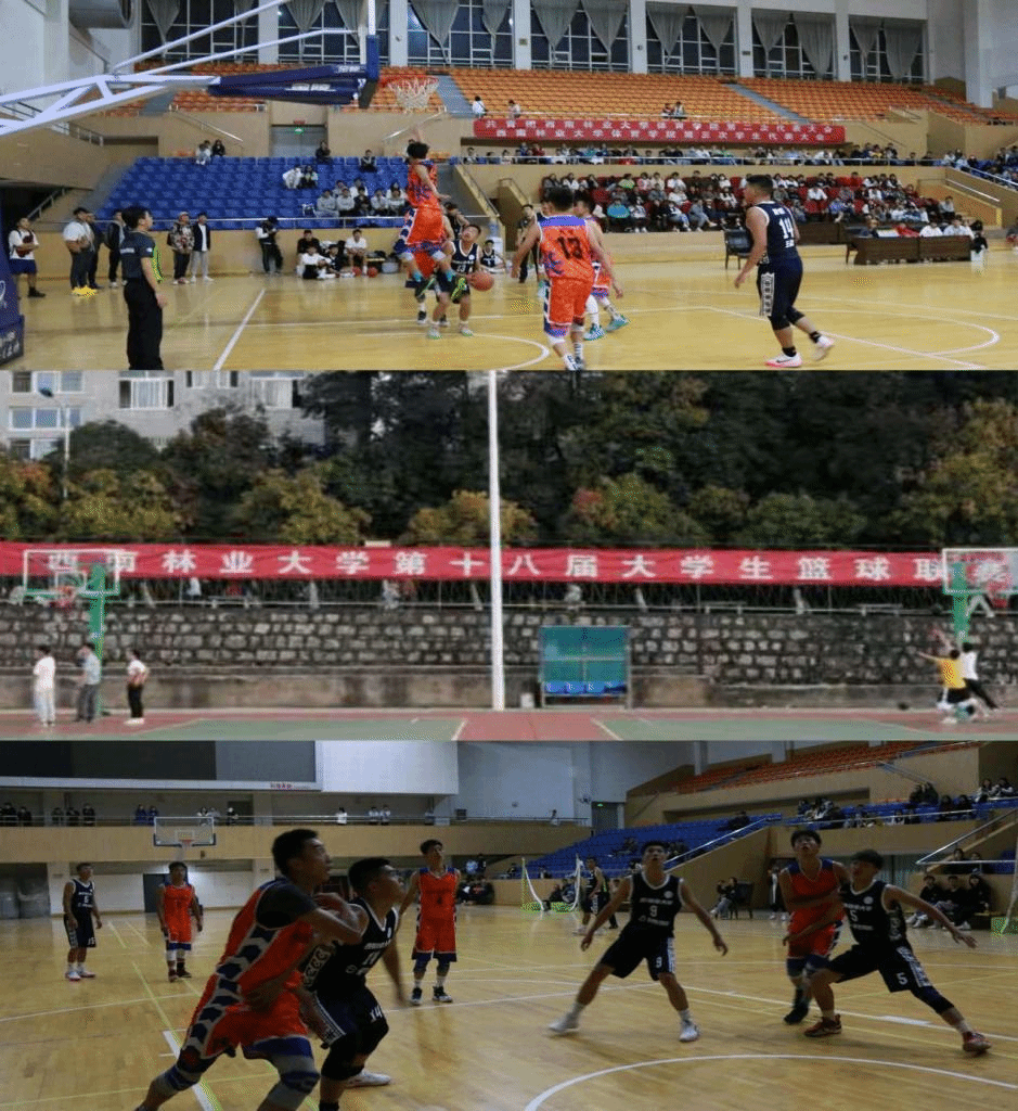 九游娱乐(中国)官方网站